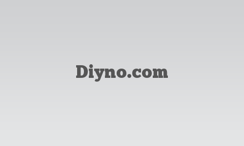 Diyno.com logo
