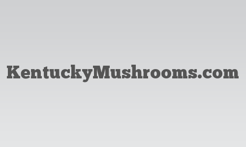 KentuckyMushrooms.com logo