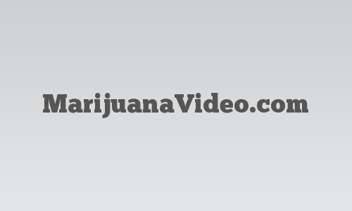 MarijuanaVideo.com logo