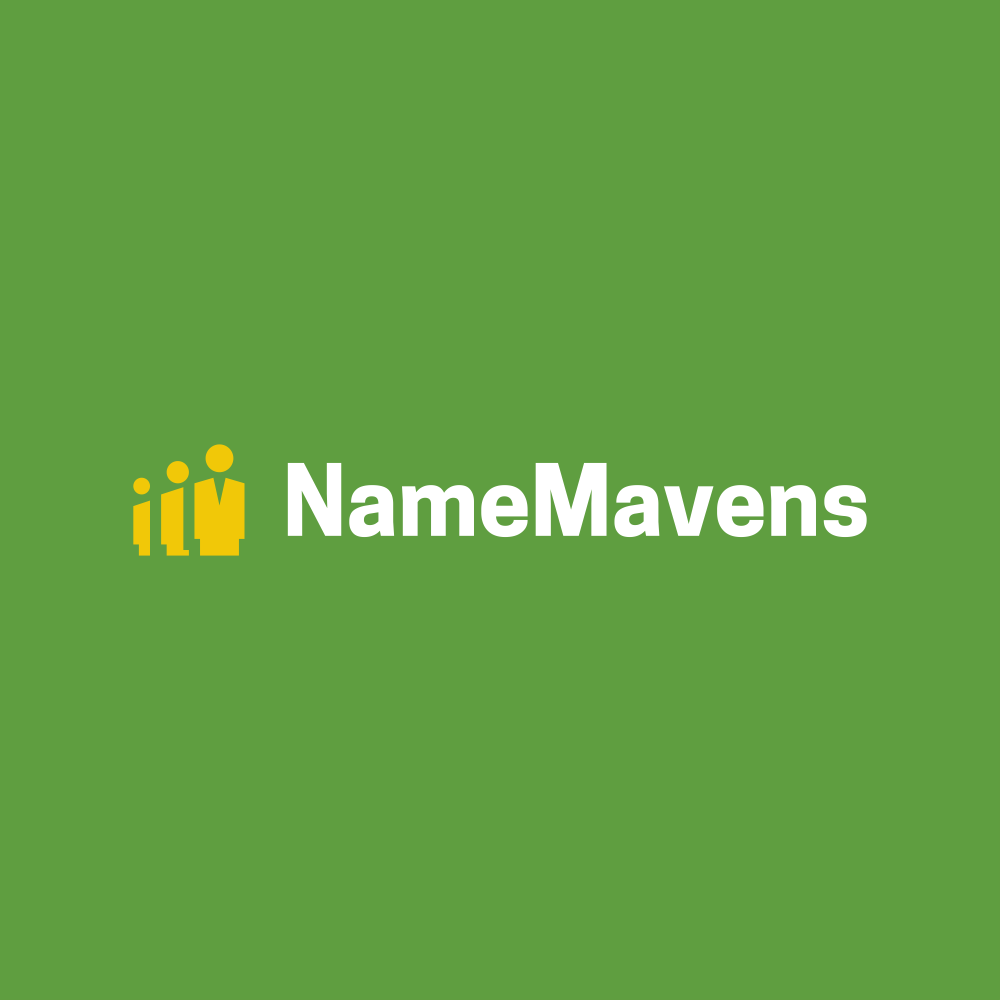 NameMavens.com logo