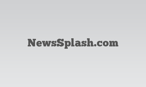 NewsSplash.com logo