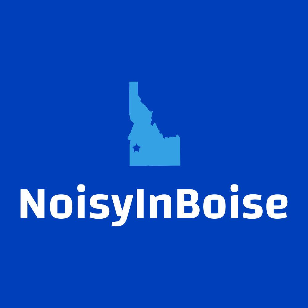NoisyInBoise.com logo