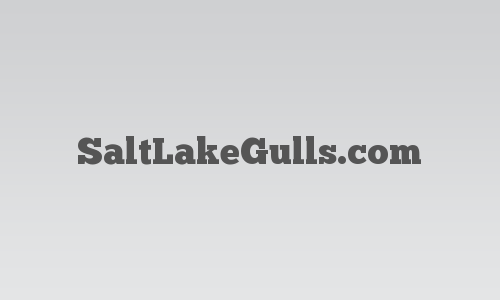 SaltLakeGulls.com logo