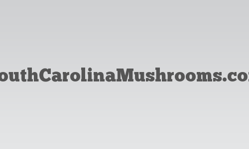 SouthCarolinaMushrooms.com logo