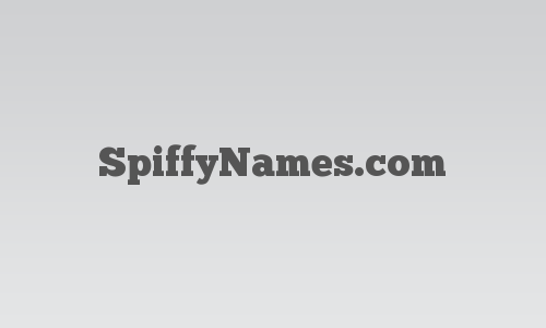 SpiffyNames.com logo