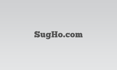 SugHo.com logo
